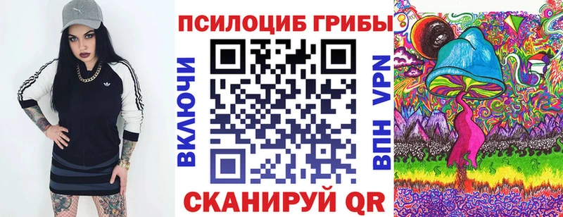 Псилоцибиновые грибы Psilocybe  Купить  Боготол 